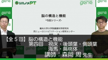 【5-4】脳の構造と機能 第4回 各論(3) 視床・後頭葉・側頭葉・海馬・扁桃体