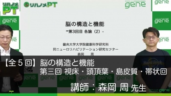 【5-3】脳の構造と機能 第3回 各論(2) 視床・頭頂葉・島皮質・帯状回
