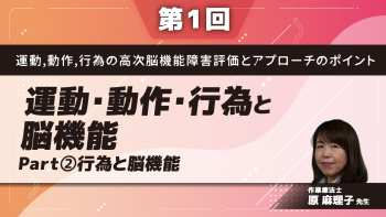 【第1回】運動・動作・行為の高次脳機能障害評価とアプローチのポイント 運動・動作・行為と脳機能 Part②行為と脳機能