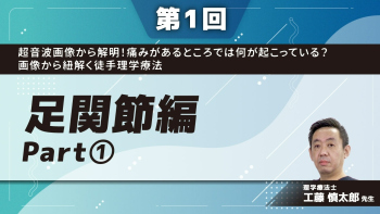 【第1回】超音波画像から解明!痛みがあるところでは何が起こっている?画像から紐解く徒手理学療法 足関節編 Part①