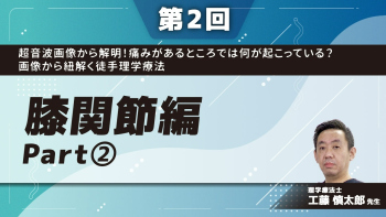 【第2回】超音波画像から解明！痛みがあるところでは何が起こっている？画像から紐解く徒手理学療法　膝関節編　Part②