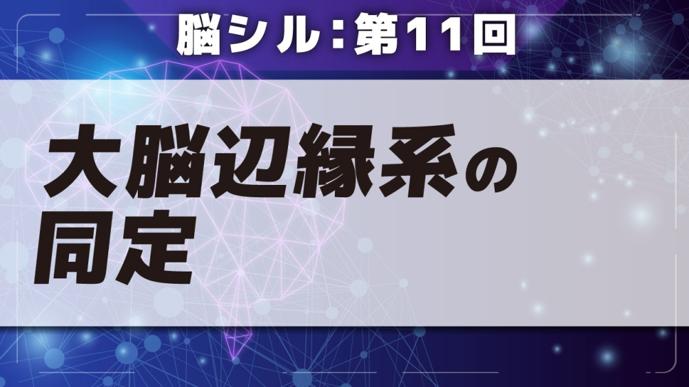 脳シル【第11回】大脳辺縁系の同定 Part①大脳辺縁系の同定