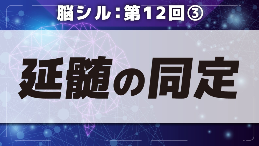脳シル【第12回】脳幹(中脳・橋・延髄)と小脳の同定 Part③延髄の同定
