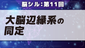脳シル【第11回】大脳辺縁系の同定 Part①大脳辺縁系の同定