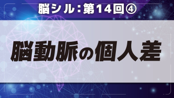 脳シル【第14回】脳動脈の見かた Part④脳動脈の個人差