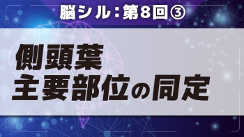 脳シル【第8回】脳画像における頭頂葉・後頭葉・側頭葉主要部位の同定 Part③側頭葉主要部位の同定