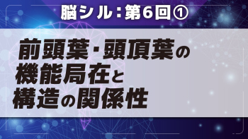 脳シル【第6回】大脳皮質の機能局在と構造の関係性 Part①前頭葉・頭頂葉の機能局在と構造の関係性