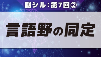 脳シル【第7回】脳画像における前頭葉主要部位と言語野の同定 Part②言語野の同定