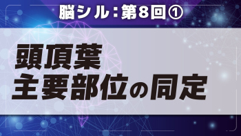 脳シル【第8回】脳画像における頭頂葉・後頭葉・側頭葉主要部位の同定 Part①頭頂葉主要部位の同定