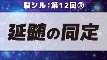 脳シル【第12回】脳幹(中脳・橋・延髄)と小脳の同定 Part③延髄の同定