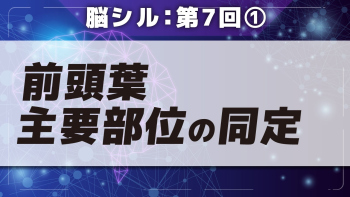 脳シル【第7回】脳画像における前頭葉主要部位と言語野の同定 Part①前頭葉主要部位の同定