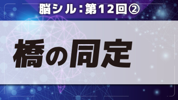脳シル【第12回】脳幹(中脳・橋・延髄)と小脳の同定 Part②橋の同定