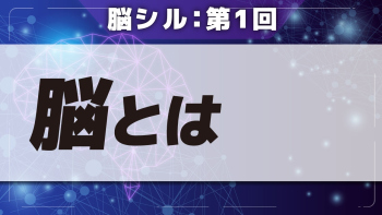 脳シル【第1回】脳とは Part①脳とは