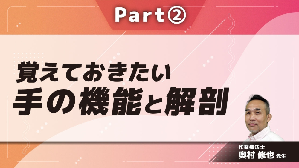 覚えておきたい手の機能と解剖 Part②表面解剖