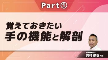 覚えておきたい手の機能と解剖 Part①手の観察からわかること
