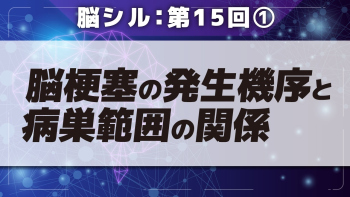 脳シル【第15回】前大脳動脈領域梗塞の脳画像読影 Part①脳梗塞の発生機序と病巣範囲の関係