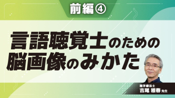 言語聴覚士のための脳画像のみかた 【前編】 Part④脳画像で見る嚥下・言語・聴覚領域