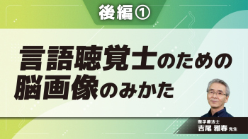 言語聴覚士のための脳画像のみかた 【後編】 Part①小脳・基底核ネットワークと脳画像1