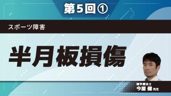 スポーツ障害 【第5回】半月板損傷 Part①