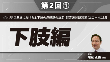 ボツリヌス療法における上下肢の痙縮筋の決定:超音波診断装置(エコ-)による 【第2回】下肢編 Part①股・膝・足