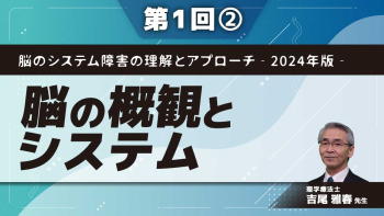 脳のシステム障害の理解とアプローチ‐2024年版‐ 【第1回】脳の概観とシステム Part②投射線維