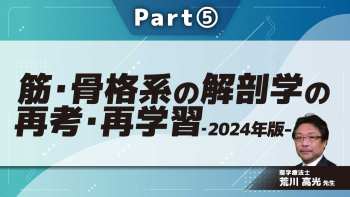 筋・骨格系の解剖学の再考・再学習 解剖学的理解に基づいた臨床症状の病態把握・クリニカルリーズニングに繋げるために‐2024年版-  Part⑤筋の付着部の理解・発展編1