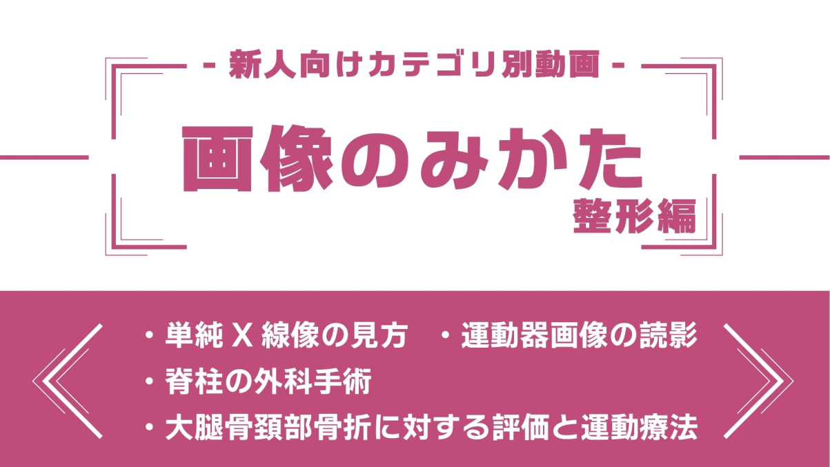 分野別ダイジェスト～画像のみかた 整形編～