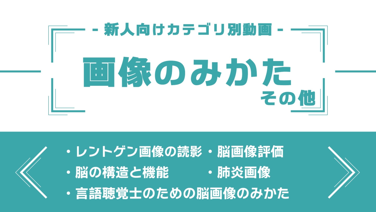 分野別ダイジェスト～画像のみかた その他～