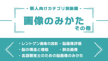 分野別ダイジェスト~画像のみかた その他~