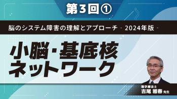 脳のシステム障害の理解とアプローチ‐2024年版‐ 【第3回】小脳・基底核ネットワーク Part①小脳ネットワーク