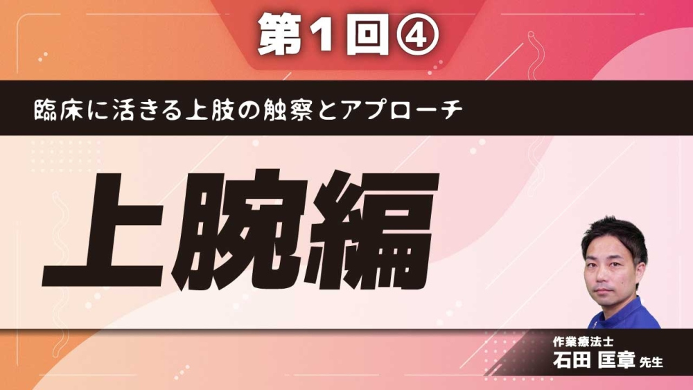 臨床に活きる上肢の触察とアプローチ 【第1回】上腕編 Part④実技(アプローチ)