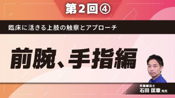 臨床に活きる上肢の触察とアプローチ 【第2回】前腕、手指編 Part④橈骨遠位端骨折の基礎、実技(手関節)