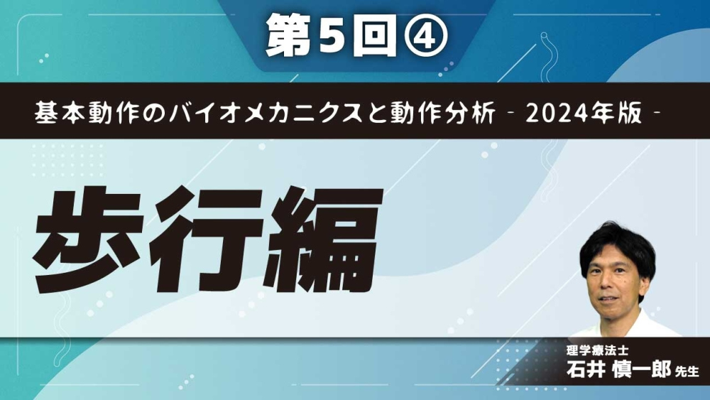 基本動作のバイオメカニクスと動作分析‐2024年版‐【第5回】歩行編 Part④立脚中期