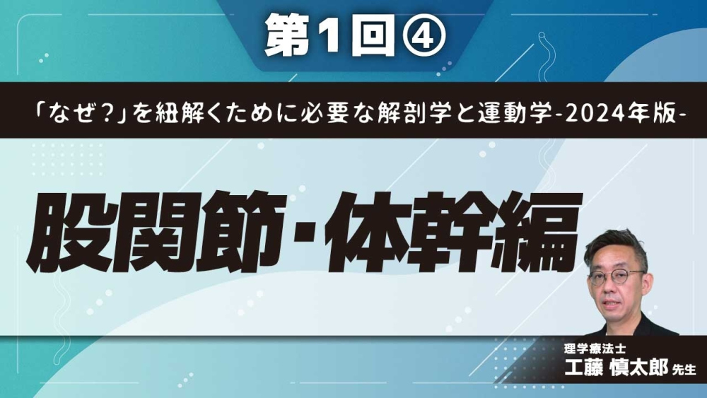 「なぜ?」を紐解くために必要な解剖学と運動学-2024年版- 【第1回】股関節・体幹編 Part④下肢痛に対する末梢神経の評価と運動療法