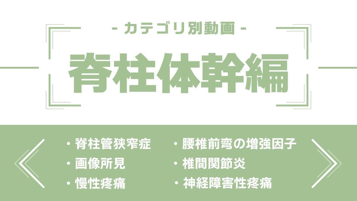 分野別ダイジェスト～脊柱体幹編～