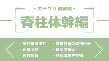 分野別ダイジェスト~脊柱体幹編~