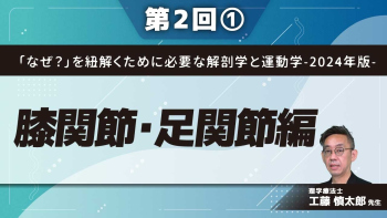 「なぜ?」を紐解くために必要な解剖学と運動学-2024年版- 【第2回】膝関節・足関節編 Part①膝蓋下脂肪体線維化の原因と低酸素の関係