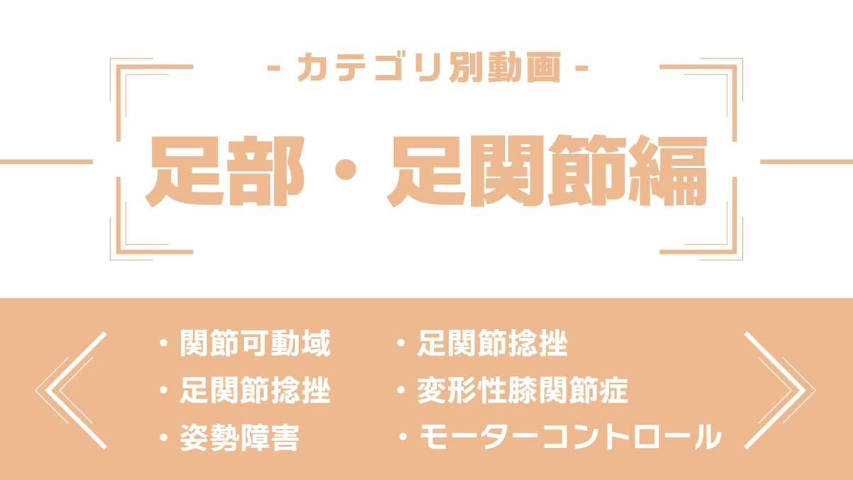 分野別ダイジェスト～足部・足関節編～
