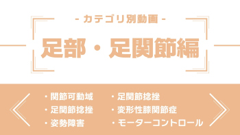 分野別ダイジェスト~足部・足関節編~