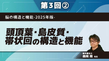 脳の構造と機能-2025年版- 【第3回】頭頂葉・島皮質・帯状回の構造と機能 Part②頭頂葉（頭頂連合野）