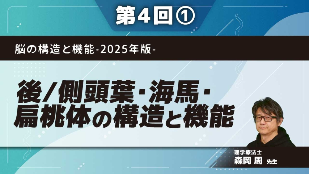 脳の構造と機能-2025年版- 【第4回】後/側頭葉・海馬・扁桃体の構造と機能 Part①後/側頭葉（基本的な視覚・聴覚情報処理）
