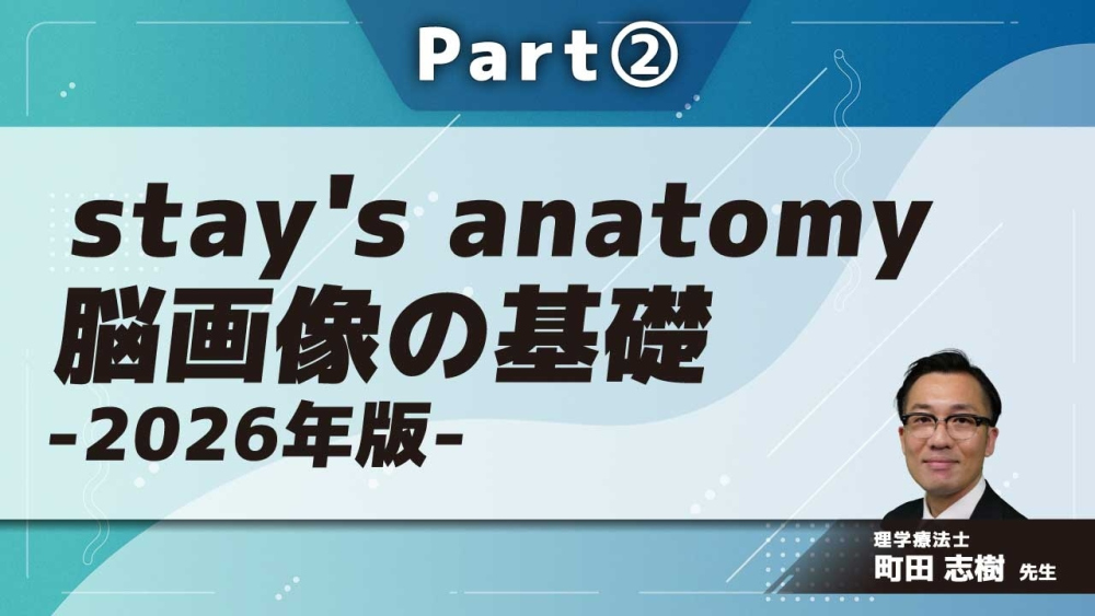 stay's anatomy 脳画像の基礎-2026年版-  Part②各レベルの脳画像読影・疾患に応じた特徴