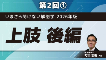 いまさら聞けない解剖学-2026年版- 【第2回】上肢　後編 Part①上腕の筋と神経/肘・前腕の解剖について