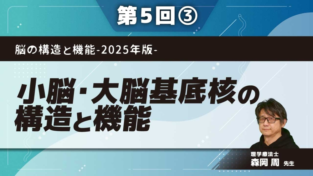 脳の構造と機能-2025年版- 【第5回】小脳・大脳基底核の構造と機能 Part③大脳基底核の構造と機能Ⅰ