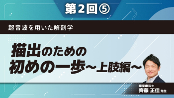 超音波を用いた解剖学 【第2回】描出のための初めの一歩～上肢編～ Part⑤上腕・前腕　後方～外側I