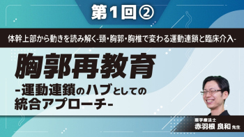 体幹上部から動きを読み解く-頸・胸郭・胸椎で変わる運動連鎖と臨床介入- 【第1回】胸郭再教育-運動連鎖のハブとしての統合アプローチ- Part②肩甲帯周囲筋の機能